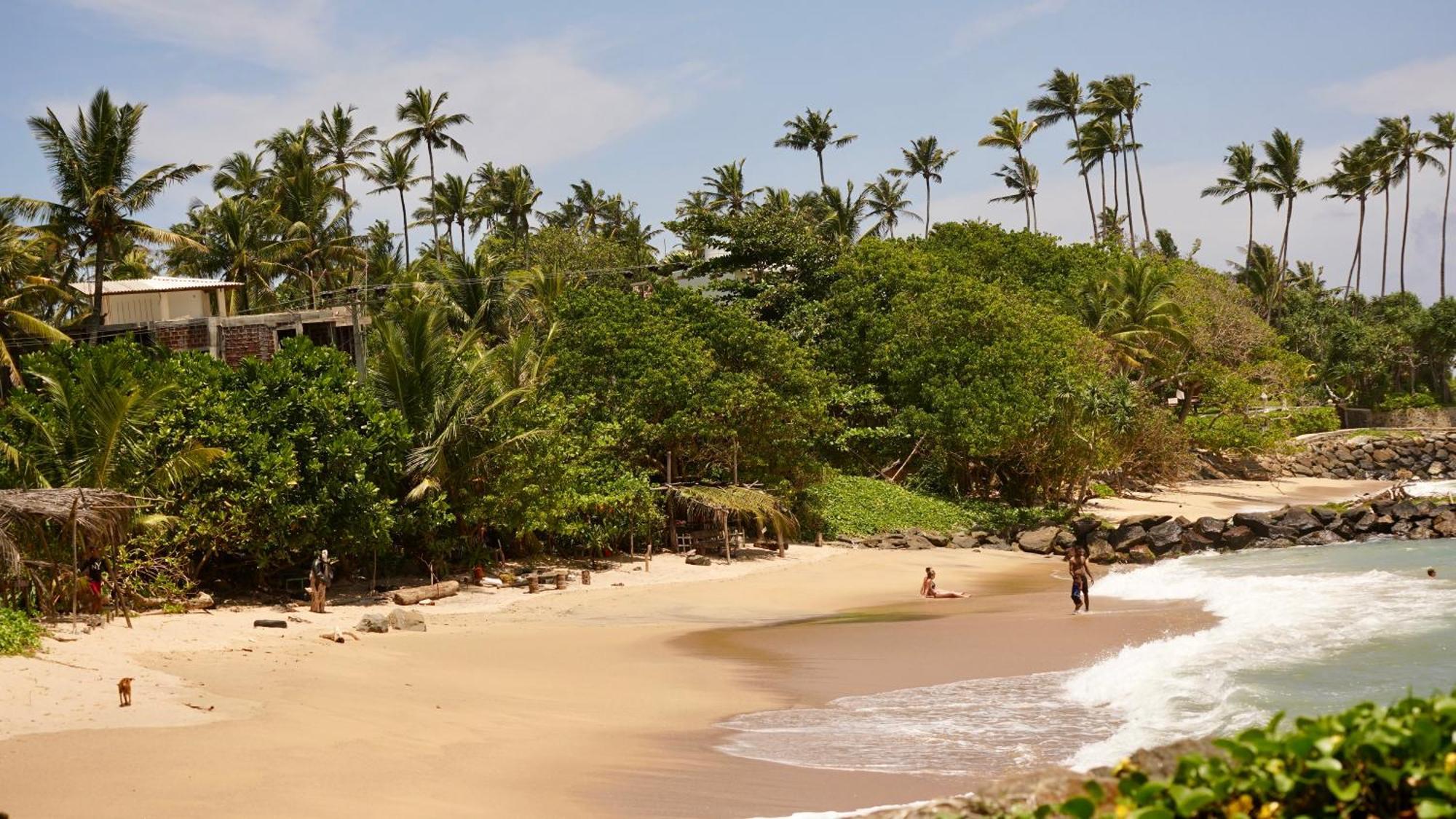 Horizon Inn By Oceanlife Surf Stay Weligama Exterior photo